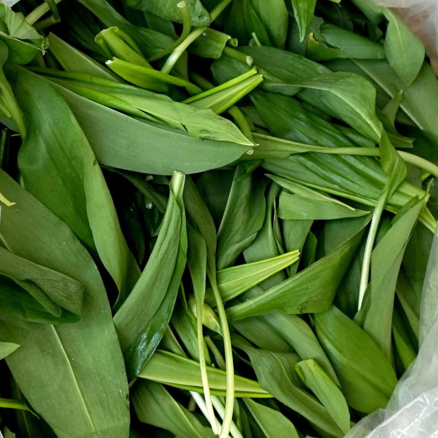 Exquisite Cheeses Delivered To You